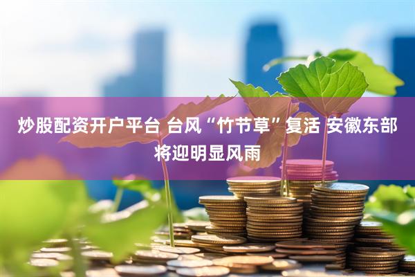 炒股配资开户平台 ﻿台风“竹节草”复活 安徽东部将迎明显风雨