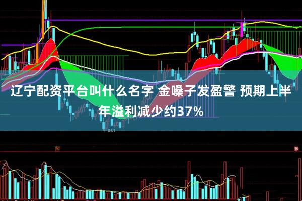 辽宁配资平台叫什么名字 金嗓子发盈警 预期上半年溢利减少约37%