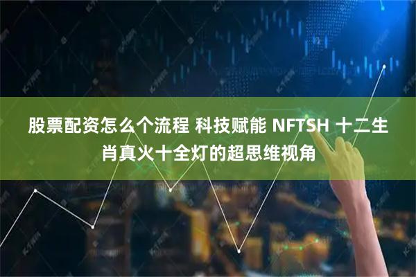 股票配资怎么个流程 科技赋能 NFTSH 十二生肖真火十全灯的超思维视角